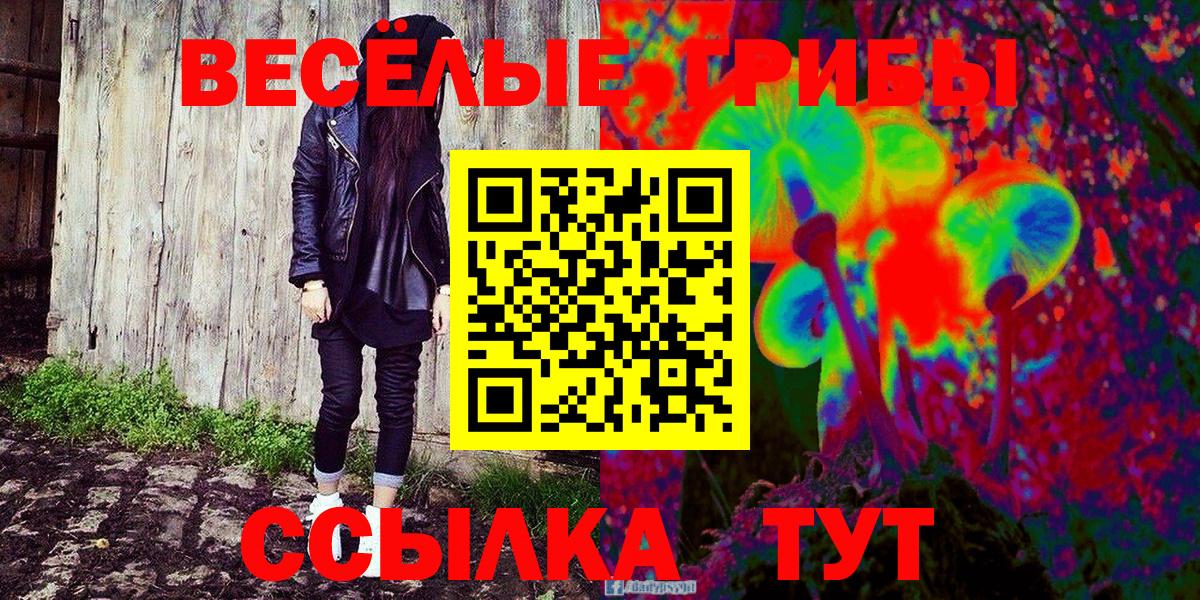 Артёмовский  где купить наркоту  Вход с VPN  Галлюциногенные грибы Psilocybe 